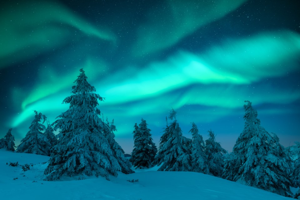 Adobestock 475340816