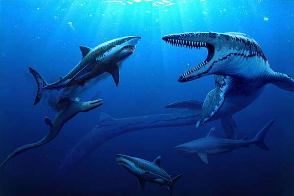 Jurassic Oceans illustration
