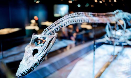 Exhibit inside exhibition
