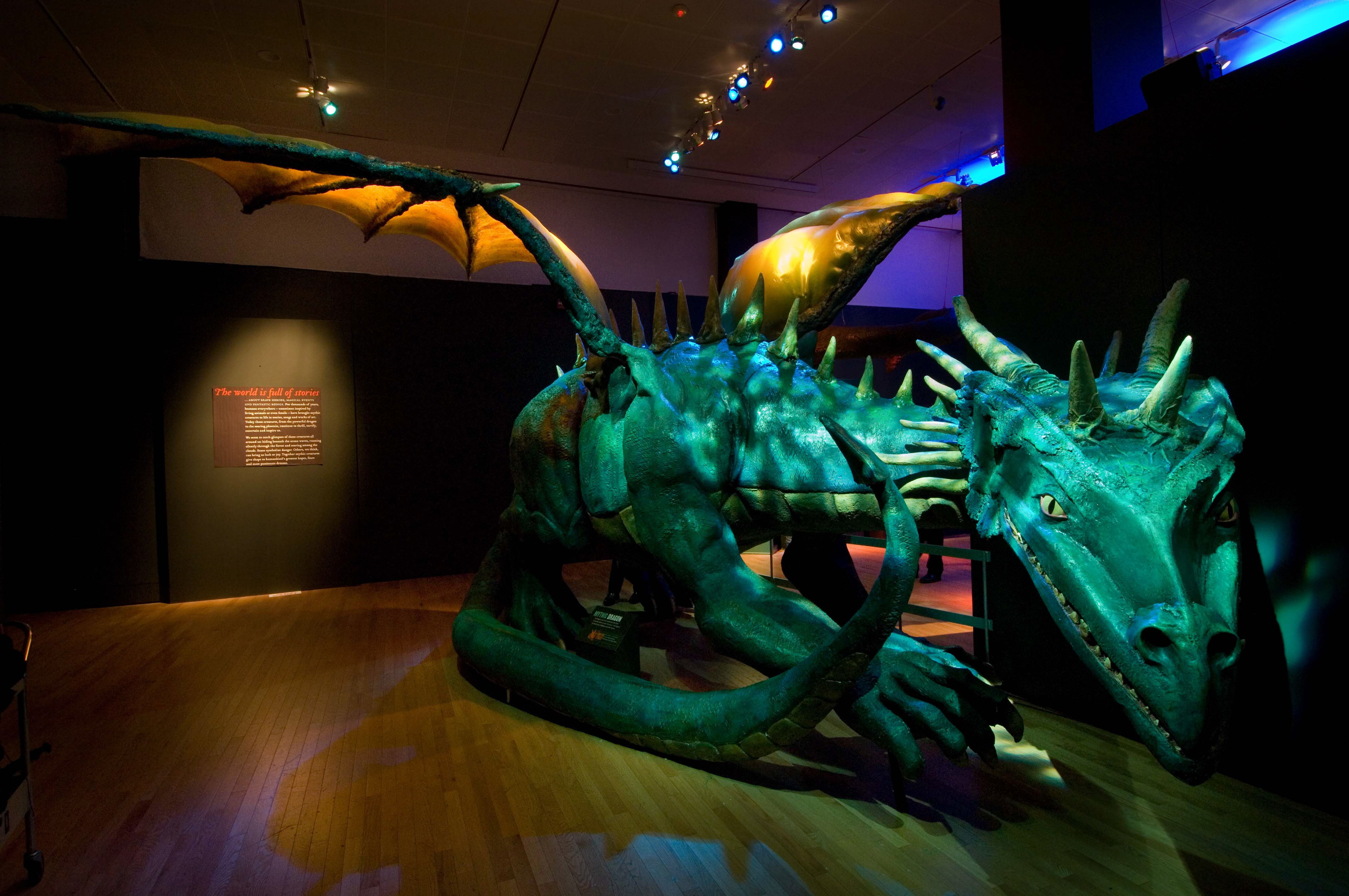 7. Dragon Model DF