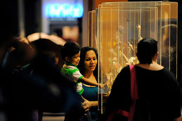 Family looks at an artifact 