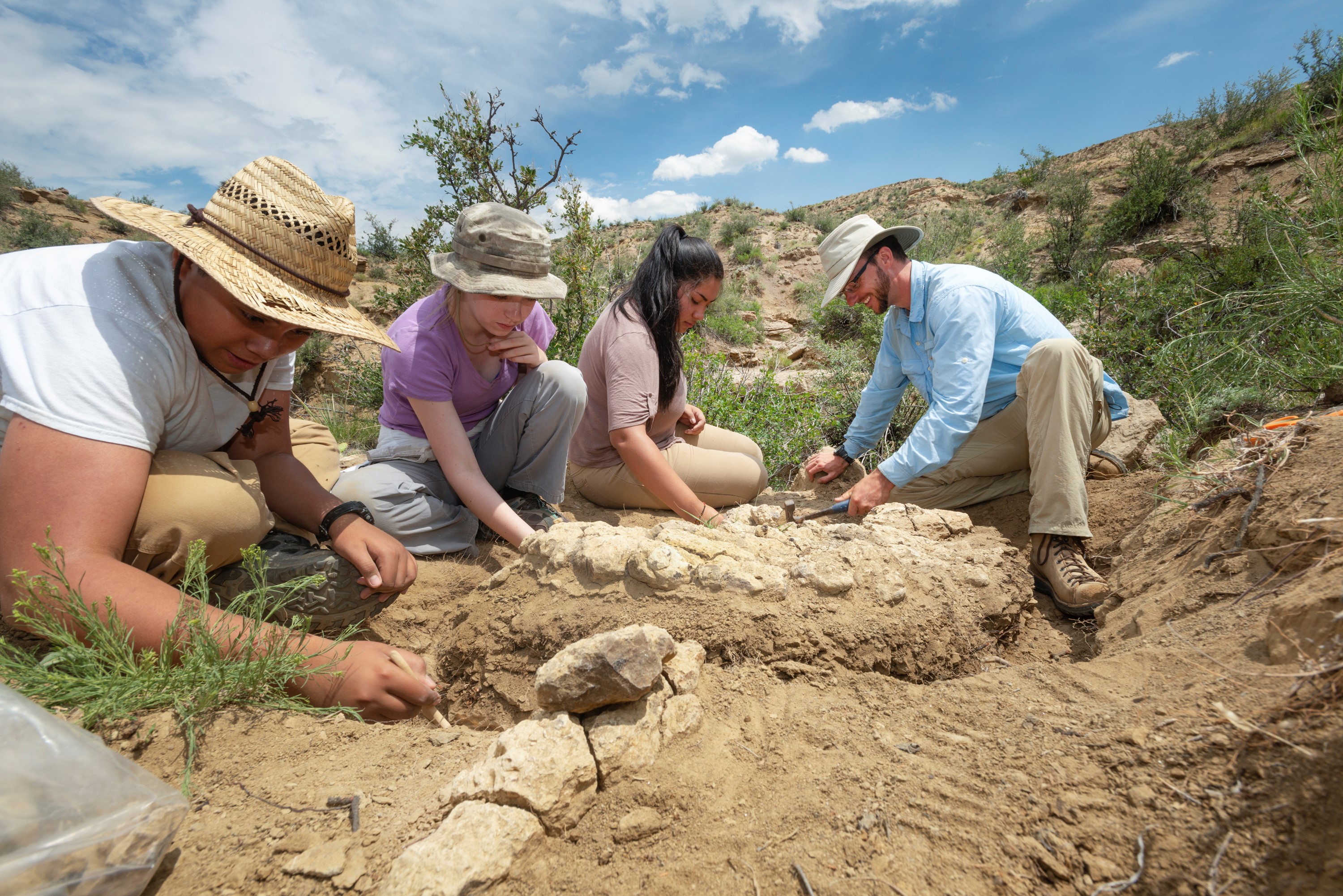 Jairo Fontes, Brynn Wooten, Leslie Gutierrez-Madera and Tyler Lyson, right to left, excavate a crocodilian skeleton at Corral Bluffs during the summer of 2017. (Photo/ Rick Wicker) 