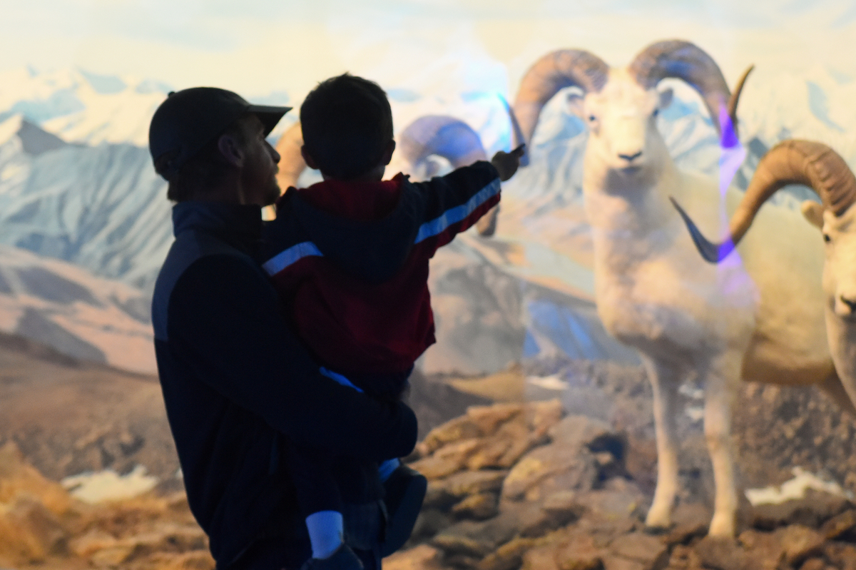 DMNS Night At The Museum 0053 1200X799 779F864