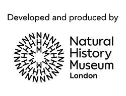JO Lender Logo BLK 250Px