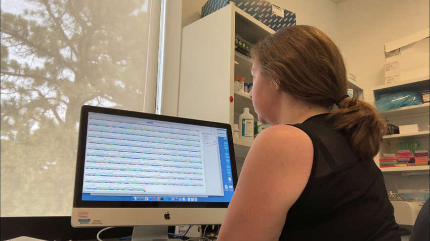 Tiffany Looking At Geneious Copy