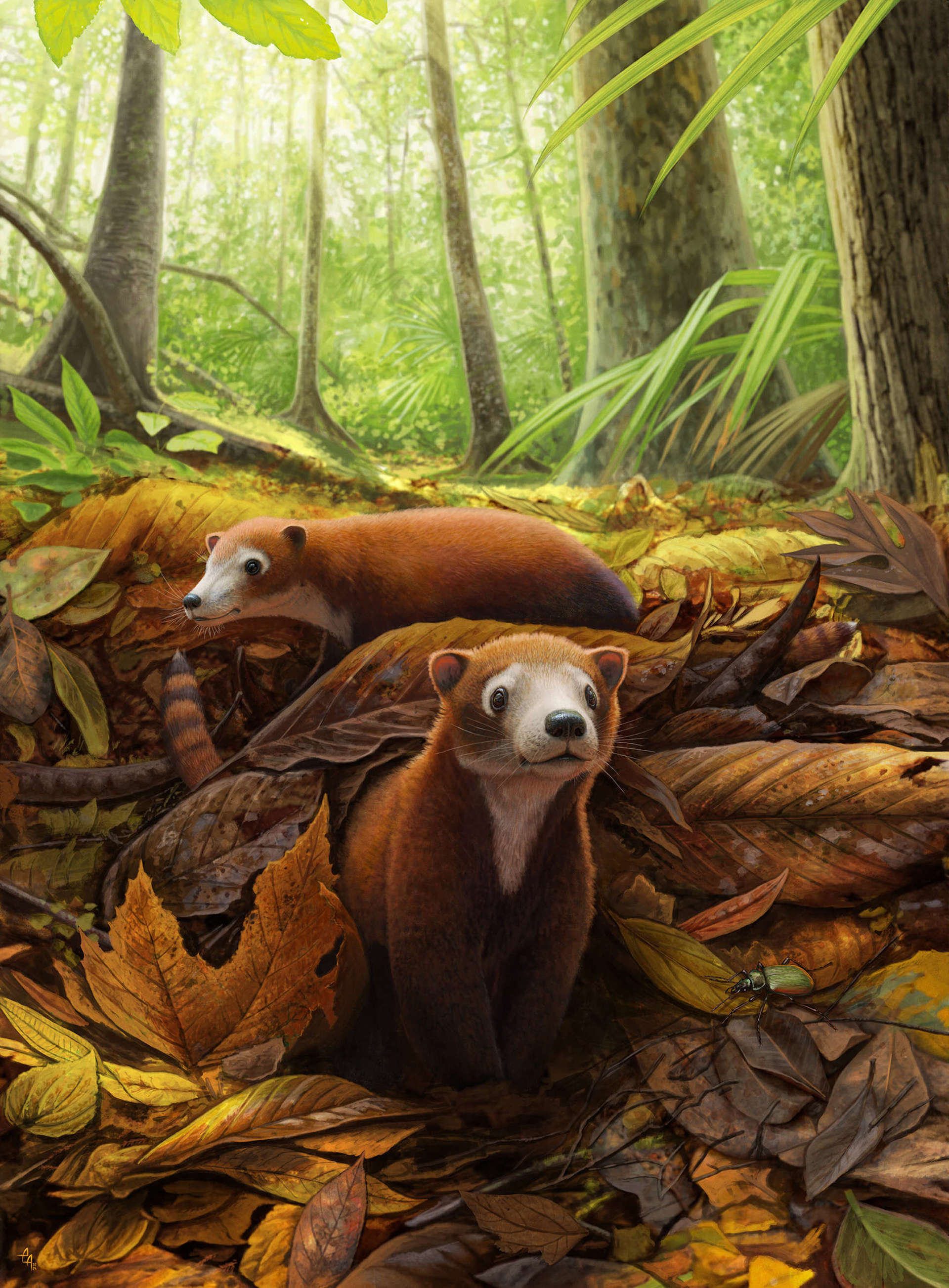 Militoconodon sits in leaf litter in prehistoric Corral Bluffs. Illustration.