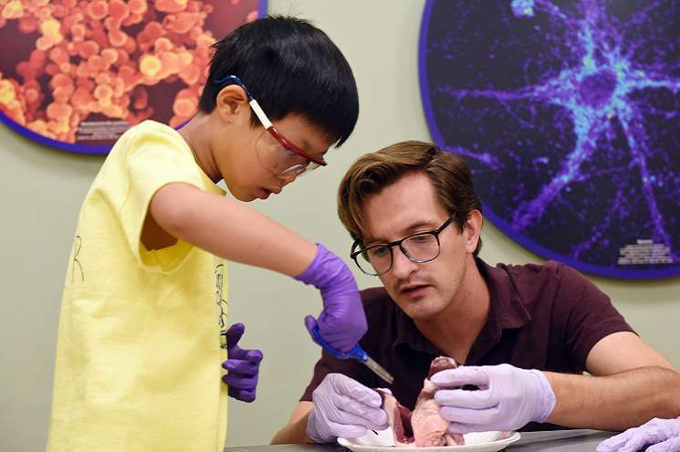 A man and a boy collaborate on a dissection, showcasing teamwork and innovation in a classroom setting.