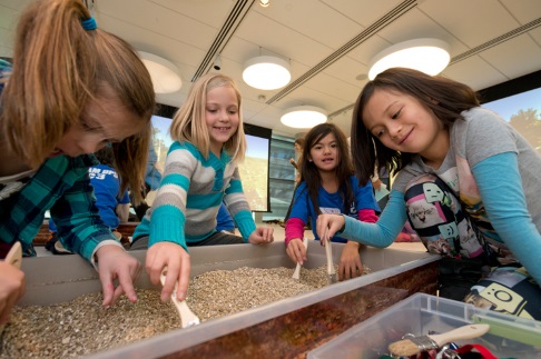 Dino Detectives Wonder Workshop