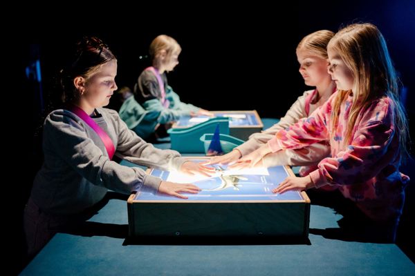 Guests using interactive lightbox exhibit