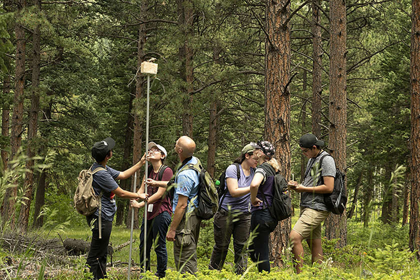 A group of students and a curator stand in a wooded area holding a large pole with a bird on top of it, as a part of fieldwork