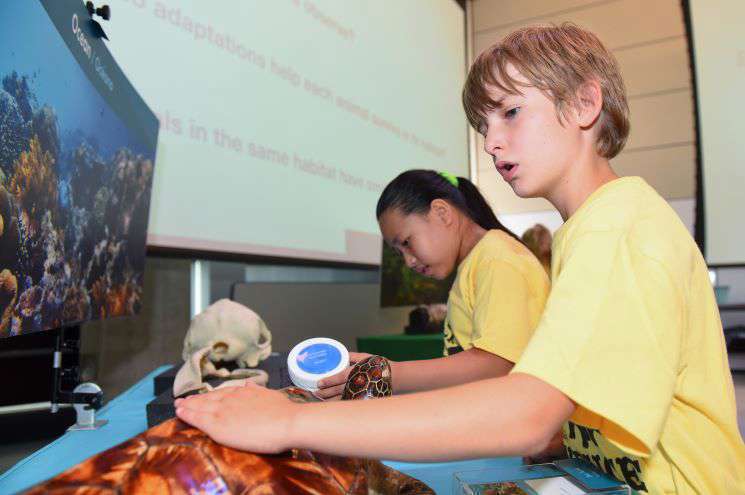 Two children observe a turtle shell with fascination, their expressions reflecting delight and curiosity as they learn about ecosystems. 