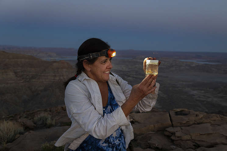 Dr. Paula Cushing studies a captured arachnid specimen by head torch out in the field.