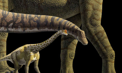 dinosaurs walking