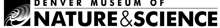 DMNS Logo
