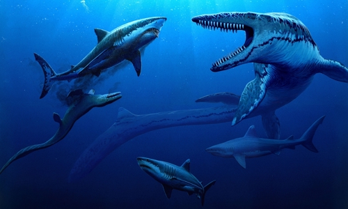 Cretaceous Jaws (C)Nicholls2001 1900X1420 Dd10181