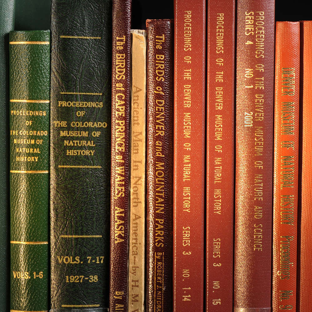 Spines of 10 books, older with various titles and colors