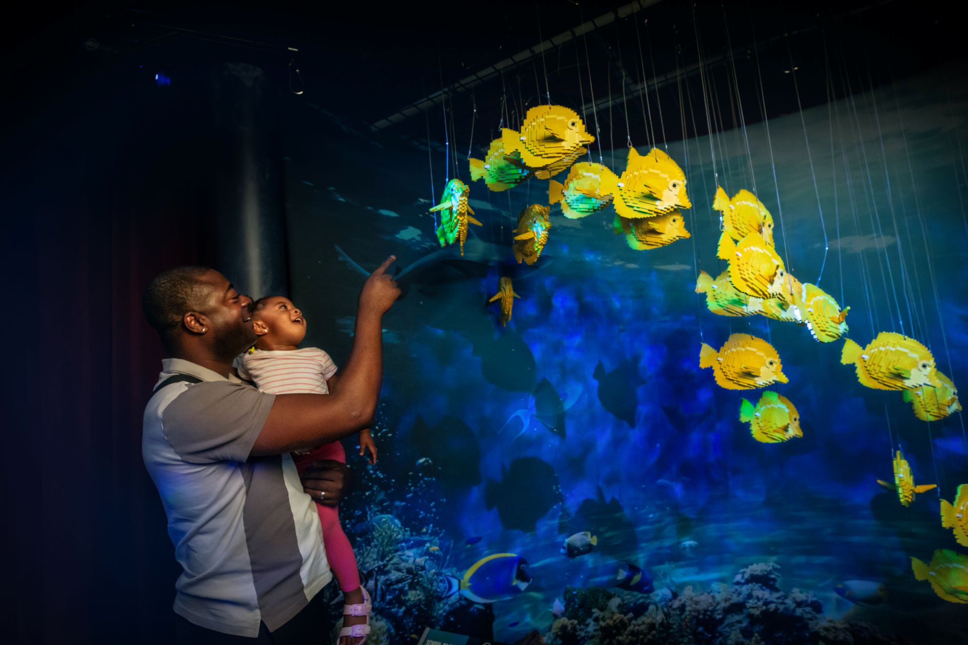 20250604 Brick World 0251 FINAL Edit