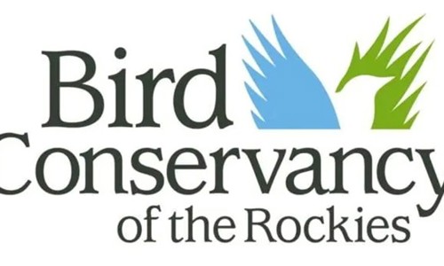 Bcor Logo