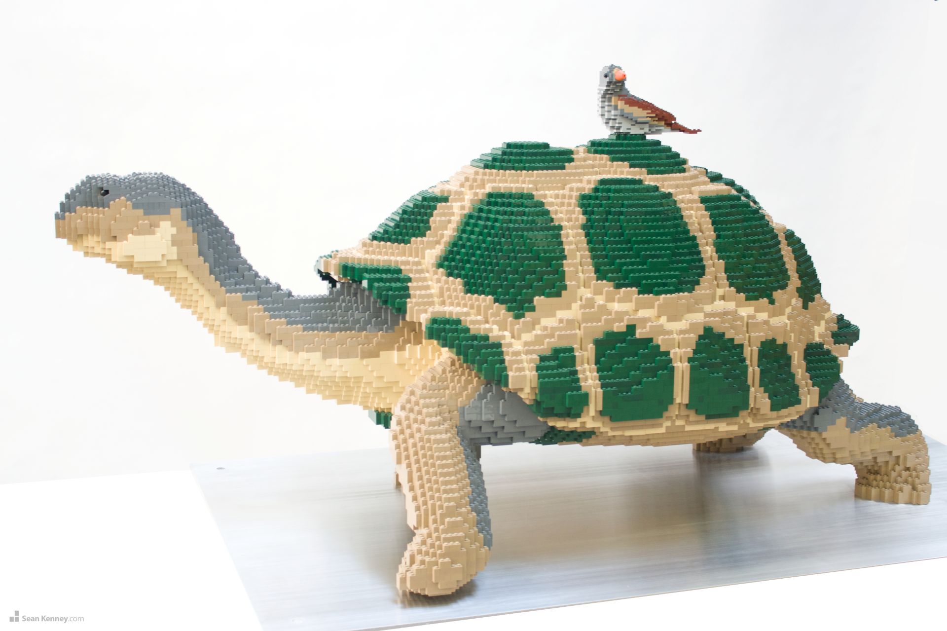 Lego statue of a turtle with bird on its back