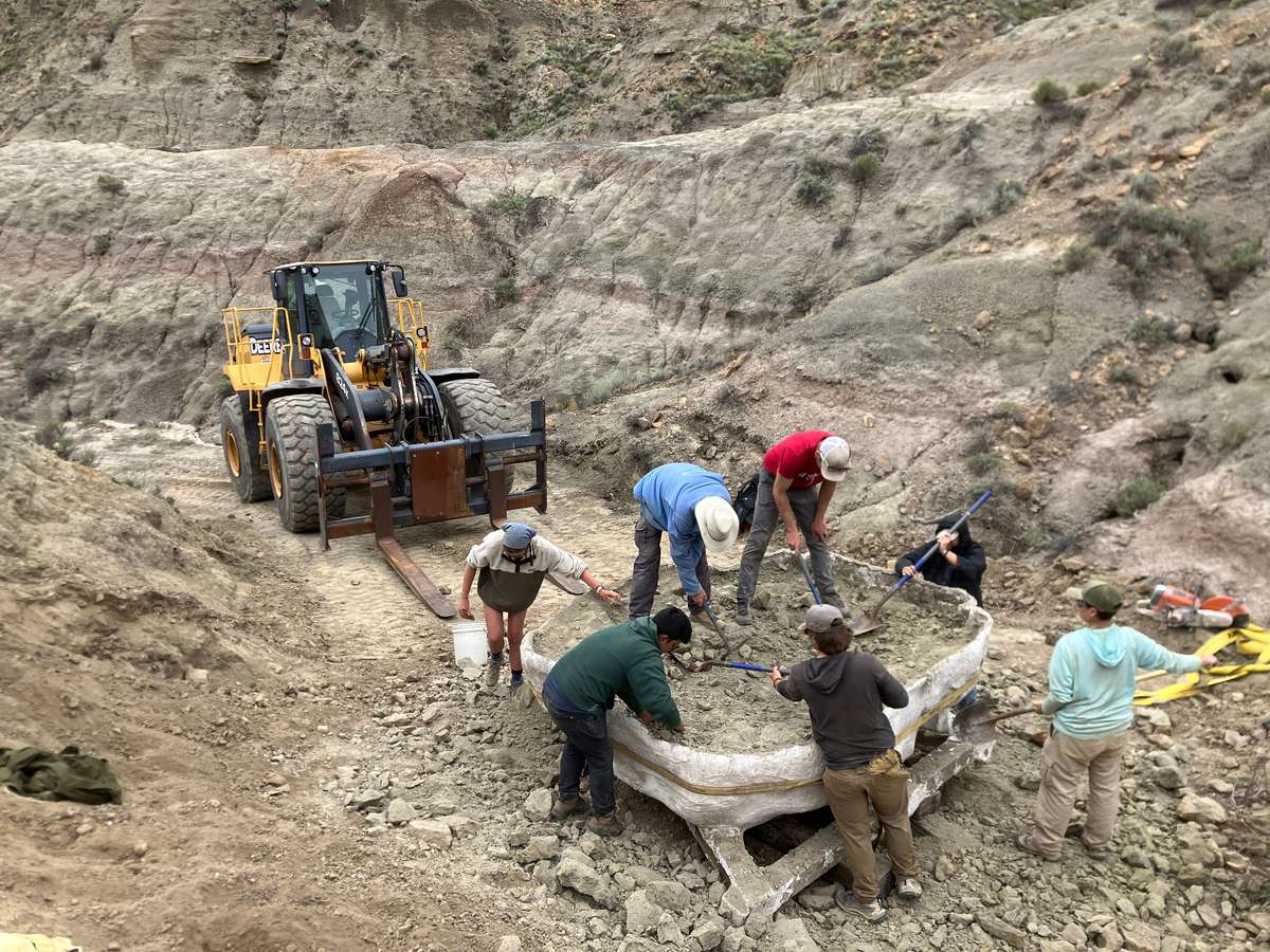 After Jacket Flip Thinning Rock 1200X900 E339a72