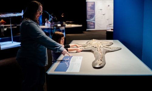 guests inside exhibition