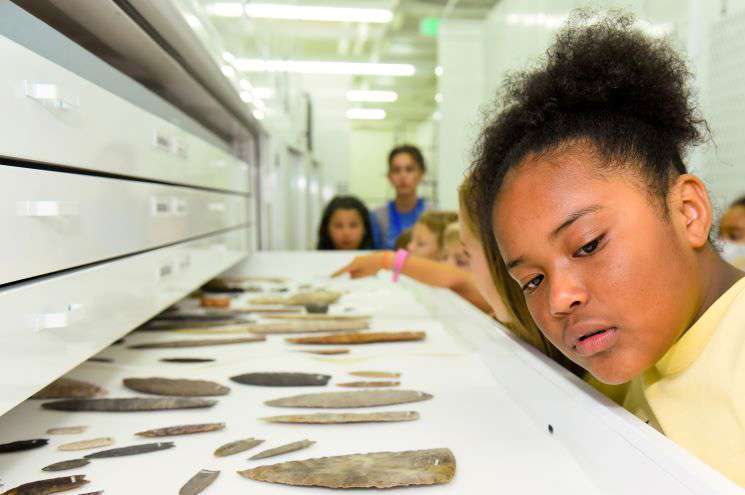 A young girl gazes curiously at a display showcasing various historical artifacts in a museum setting.