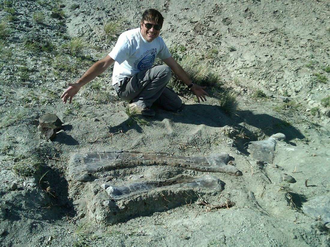 Un hombre se inca detrás de dos huesos de saurópodos enterrados  