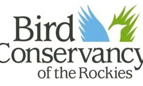 Bcor Logo (005)