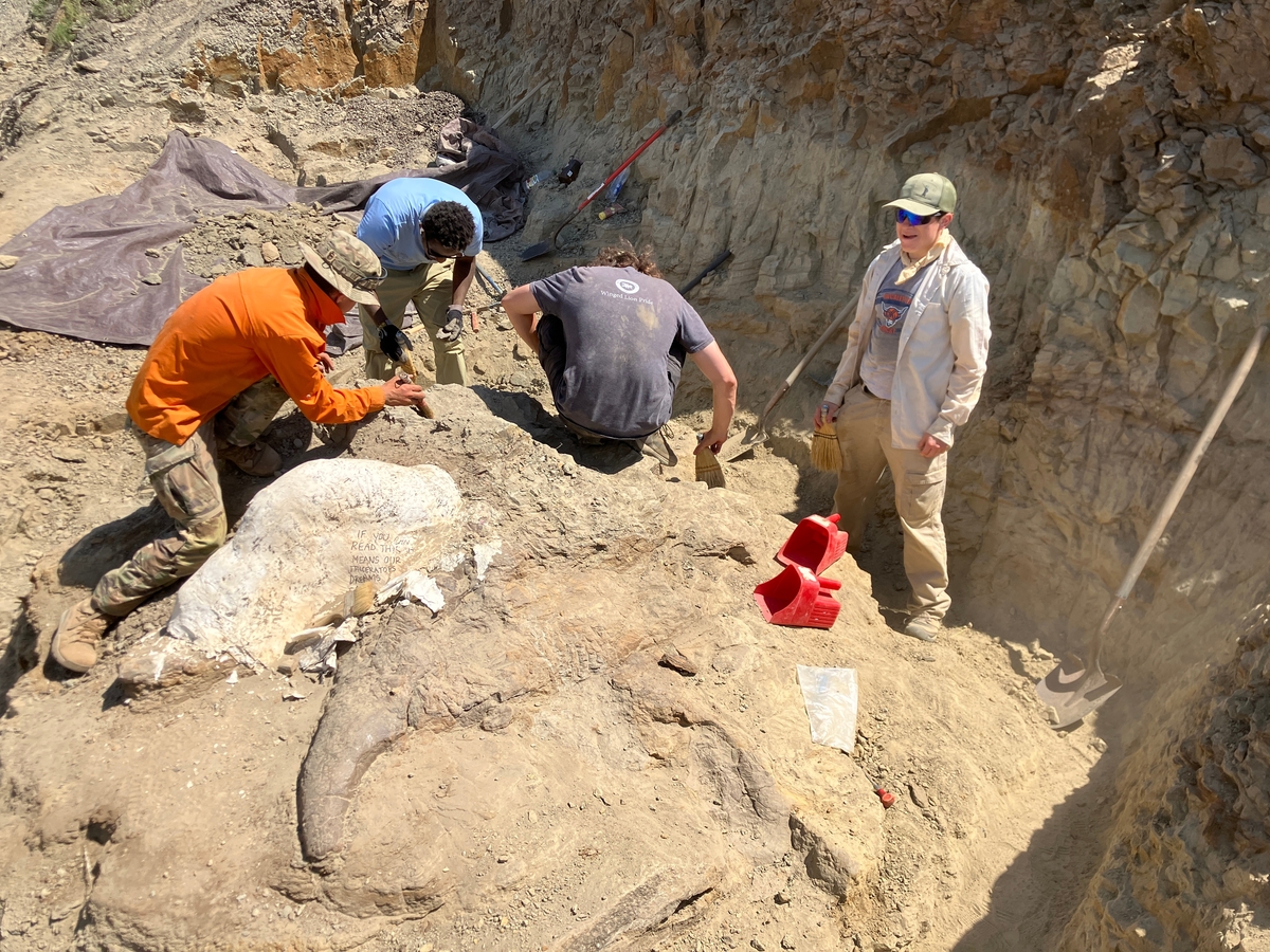 Interns Chalfont Conley, Kibrom Legesse, Max Krueger and Marisa Luft, right to left, expose new fossil bone in the quarry.