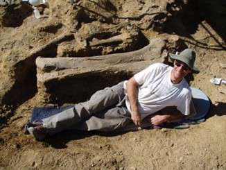 A man lays down on the ground in front of a sauropod femur. 