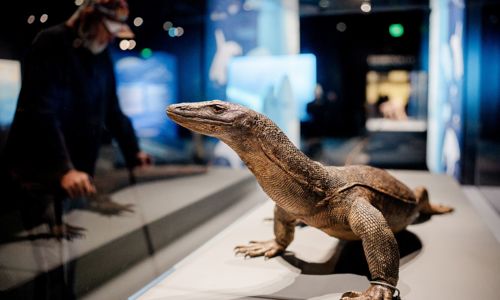 Exhibit inside exhibition