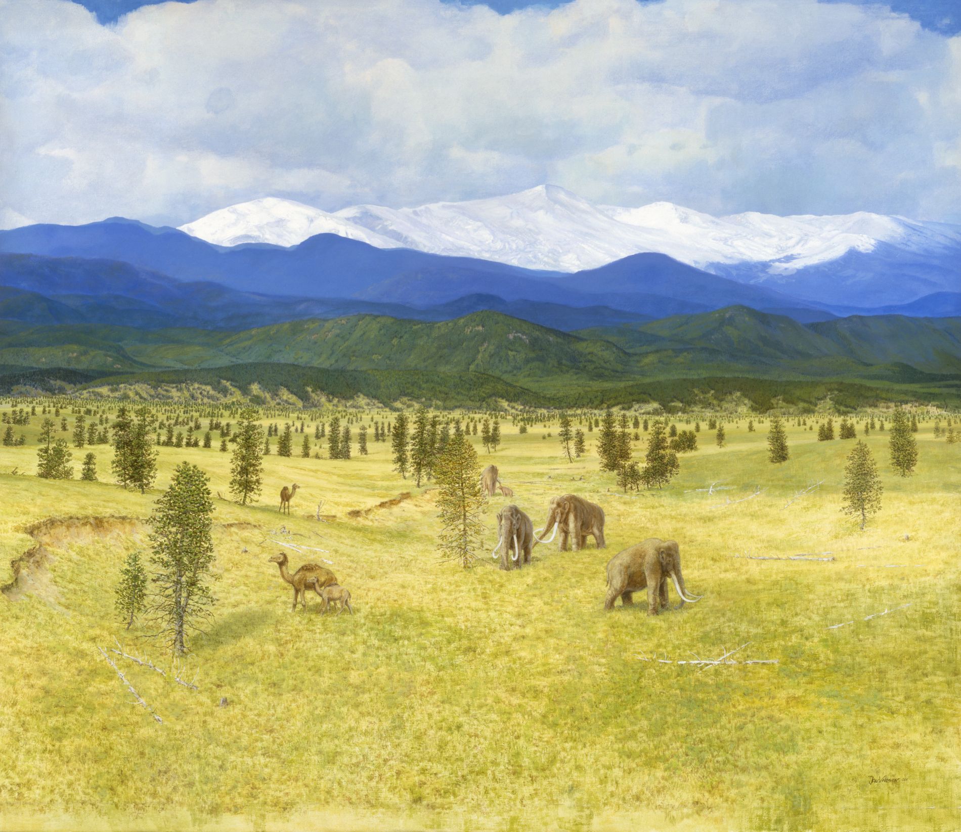 IOS.2002.13 Ice Age Summer