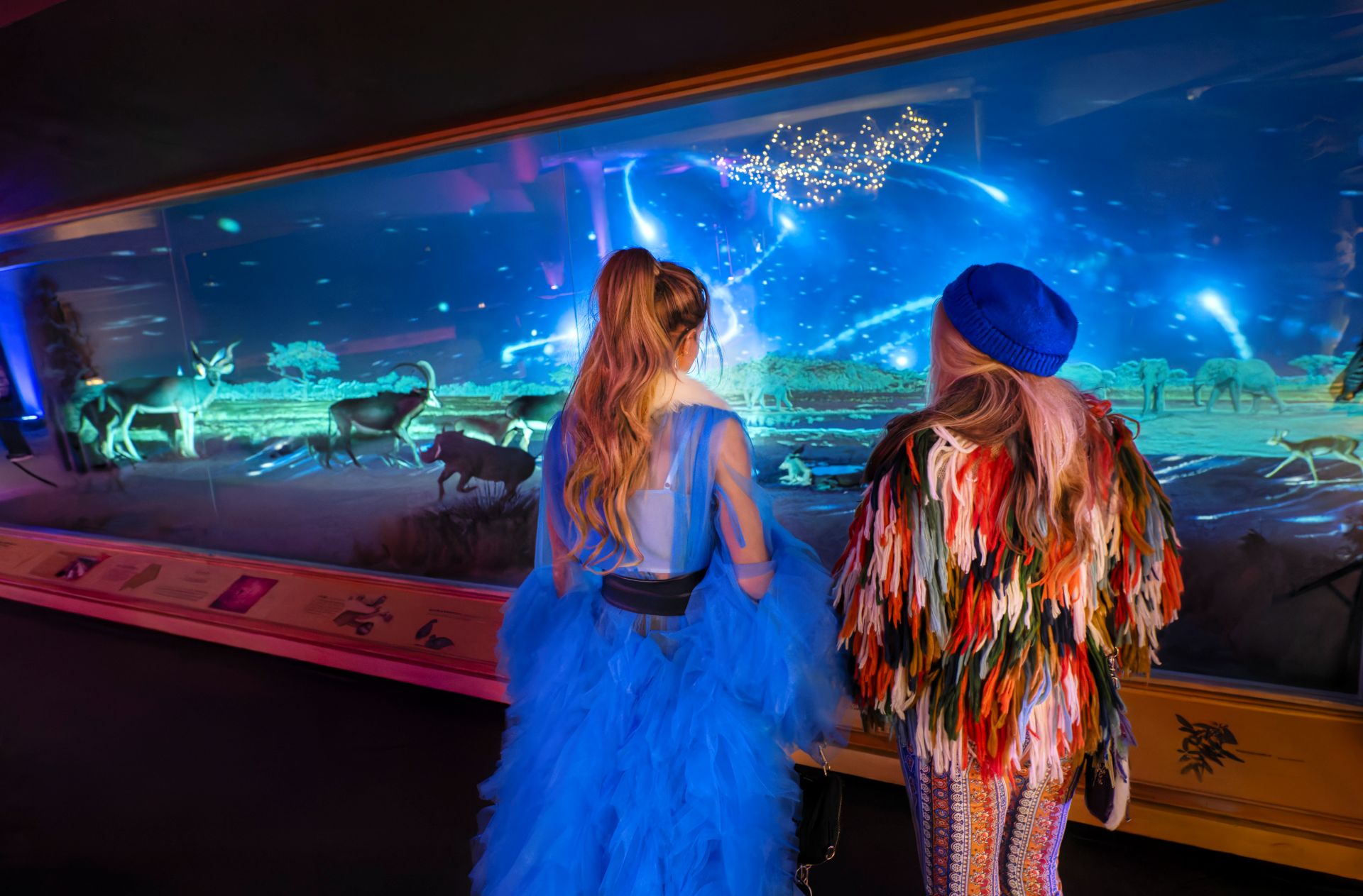 Guest view beautiful starry-night projections over the African savanna diorama. (Photo/ Rick Wicker)