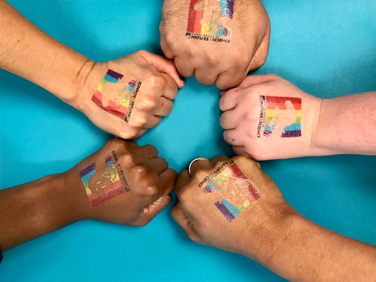 IMG E5522 1200X900 E339a72