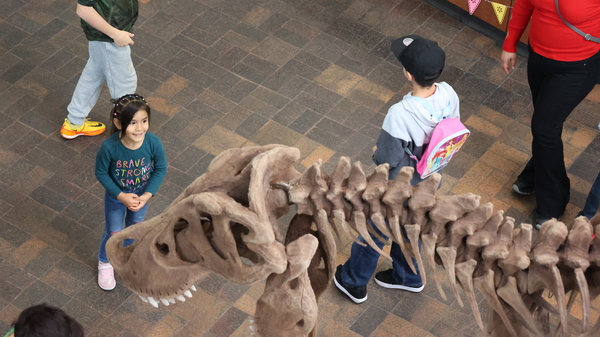 AX7A2223 601X337 Ccbc281