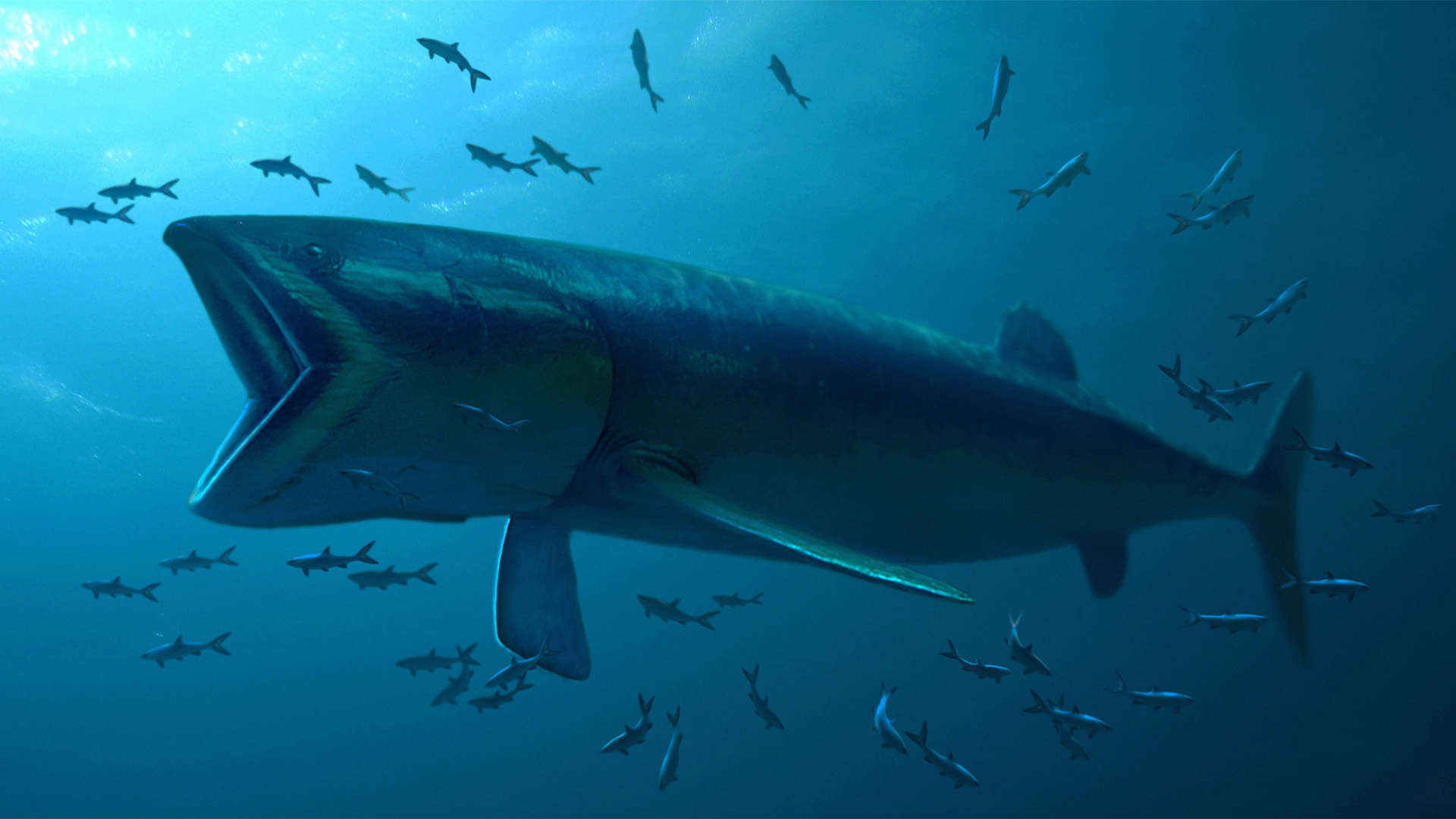 Leedsichthys, a Jurassic fish, swims in the blue ocean amongst smaller fish.